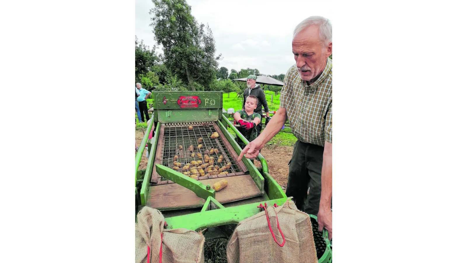 Kinder buddeln nach Kartoffeln (Foto: al)