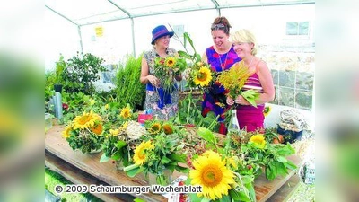 Sonnenblumenfest am Sonntag (Foto: km)