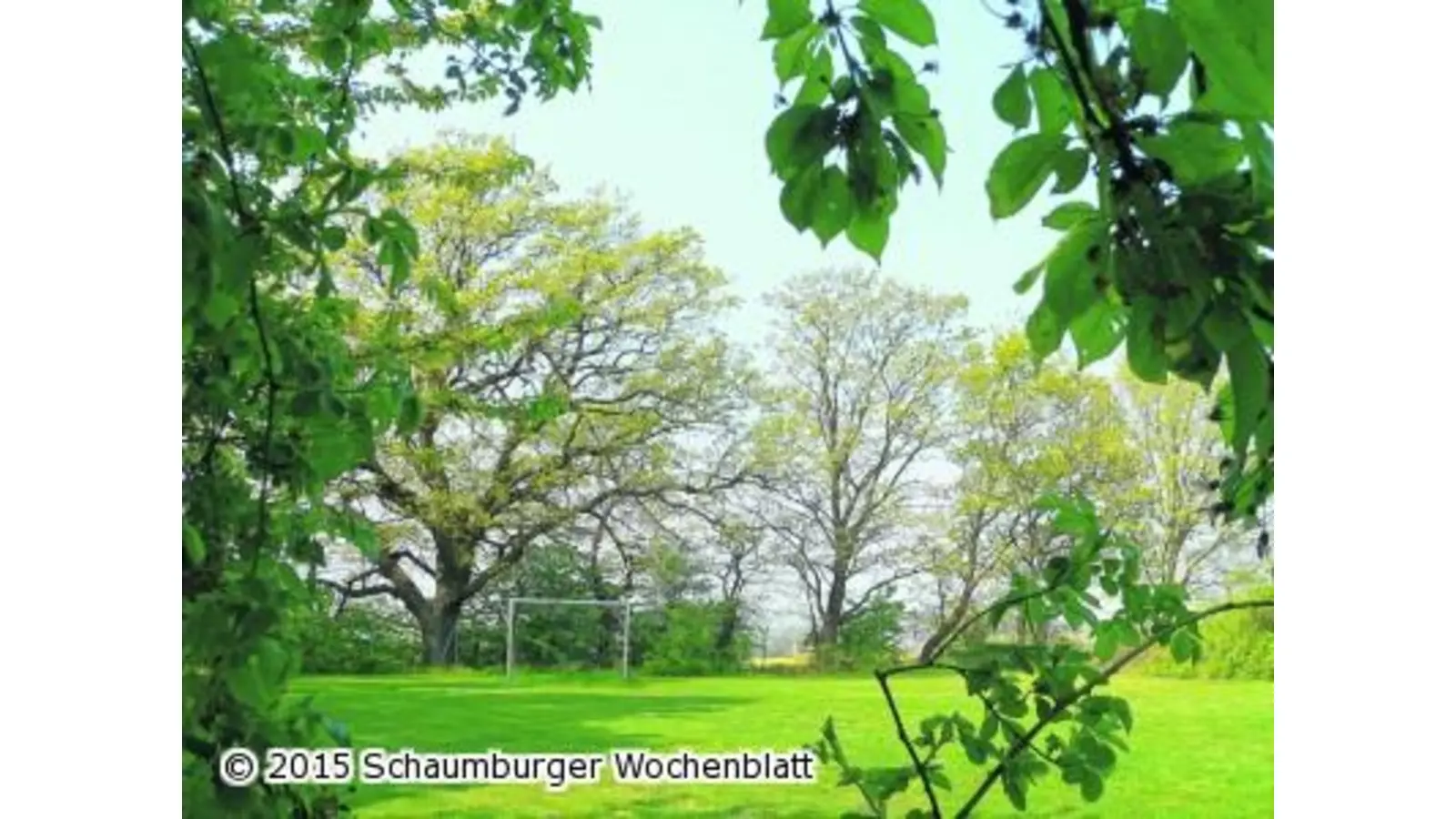 Mehr Toleranz am Bolzplatz (Foto: al)