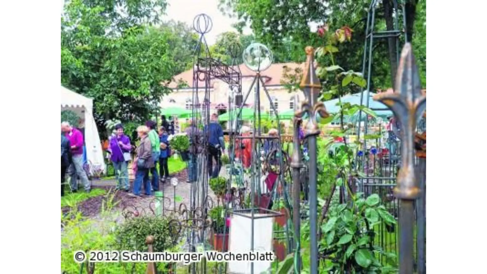 NDR-Fernsehen dokumentiert am Freitag die Goethe-Enthüllung im Orangerie-Park (Foto: km)