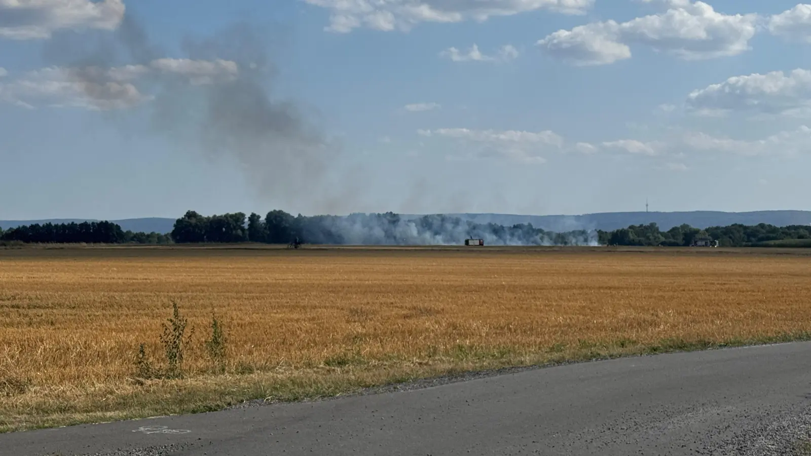 Rauchentwicklung: Brand auf einem Feld. (Foto: Feuerwehr)