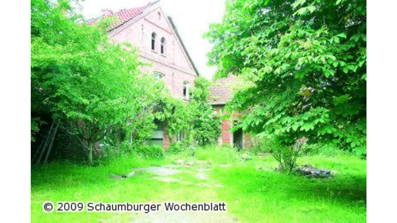 Sechs Bauplätze geplant (Foto: gi)