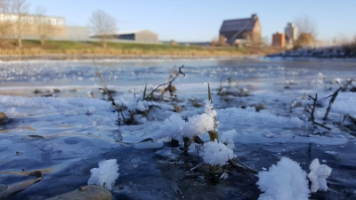 Eisgang auf der Weser war in den Jahren zuvor eher selten. (Foto: ste)