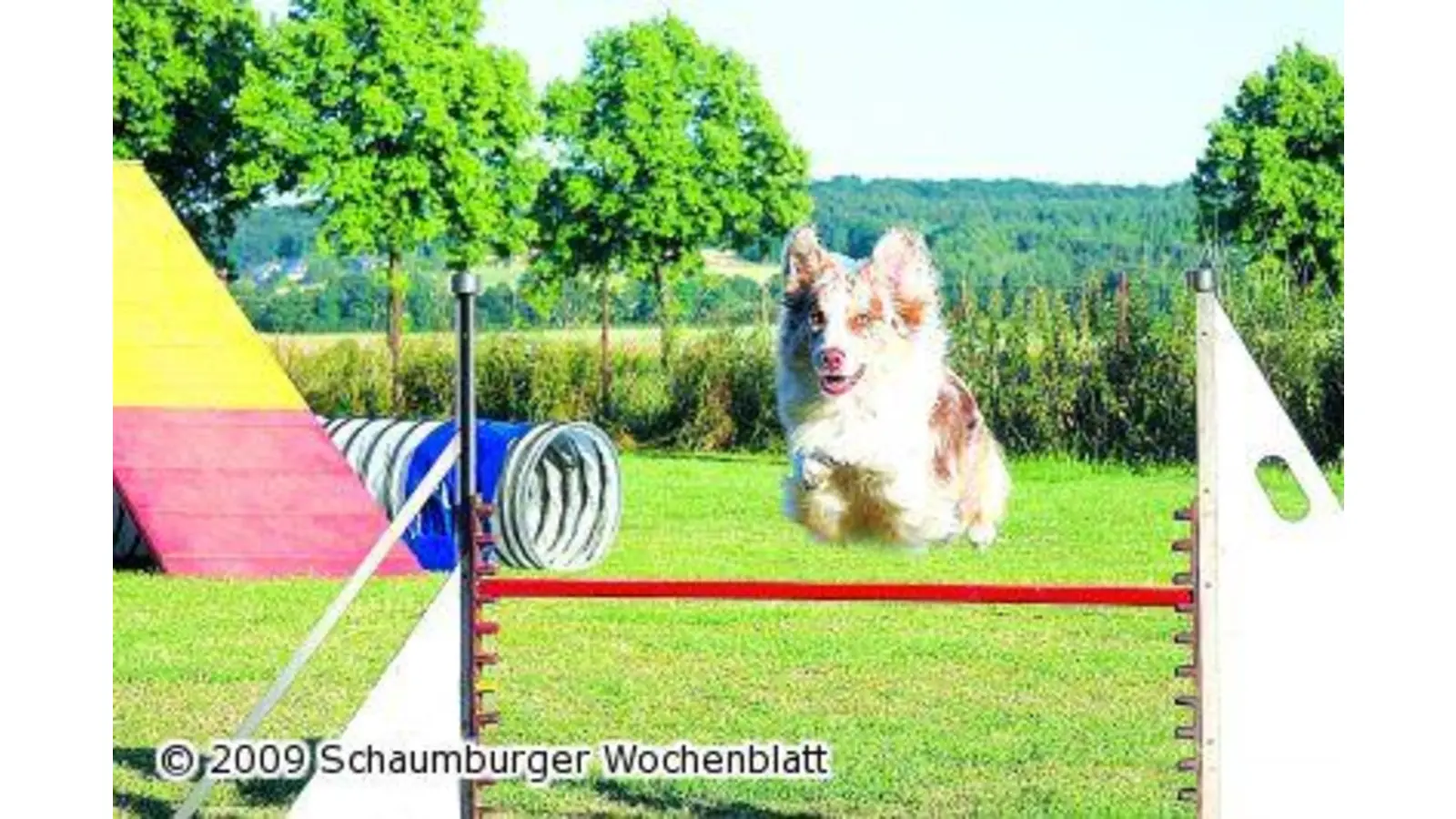 Es geht um die Wurst (Foto: mk)
