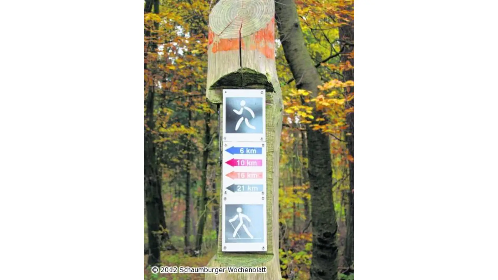 Schaumburger Laufserie startet (Foto: ro)