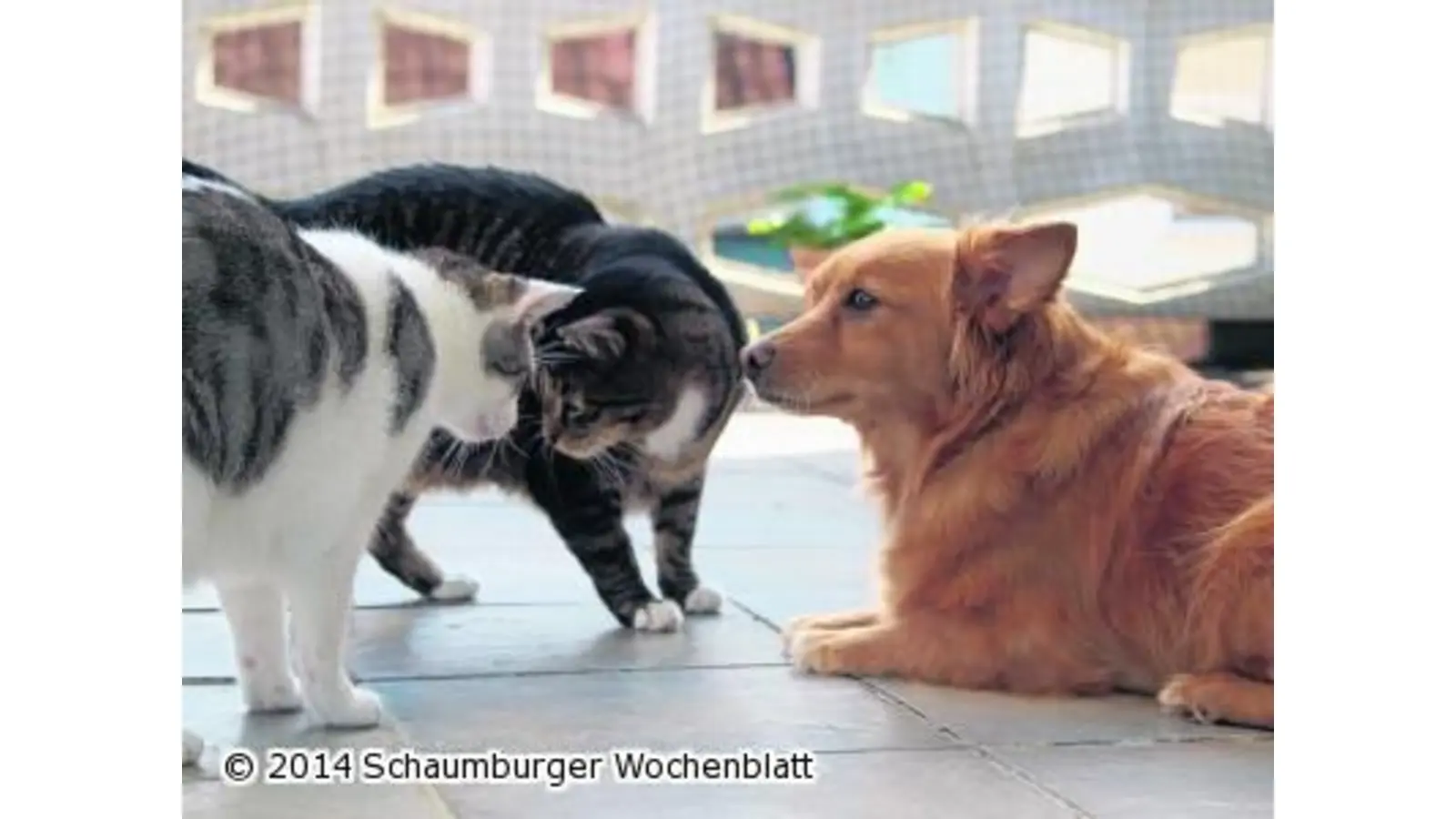 Verständnis muss auf beiden Seiten wachsen (Foto: wa)
