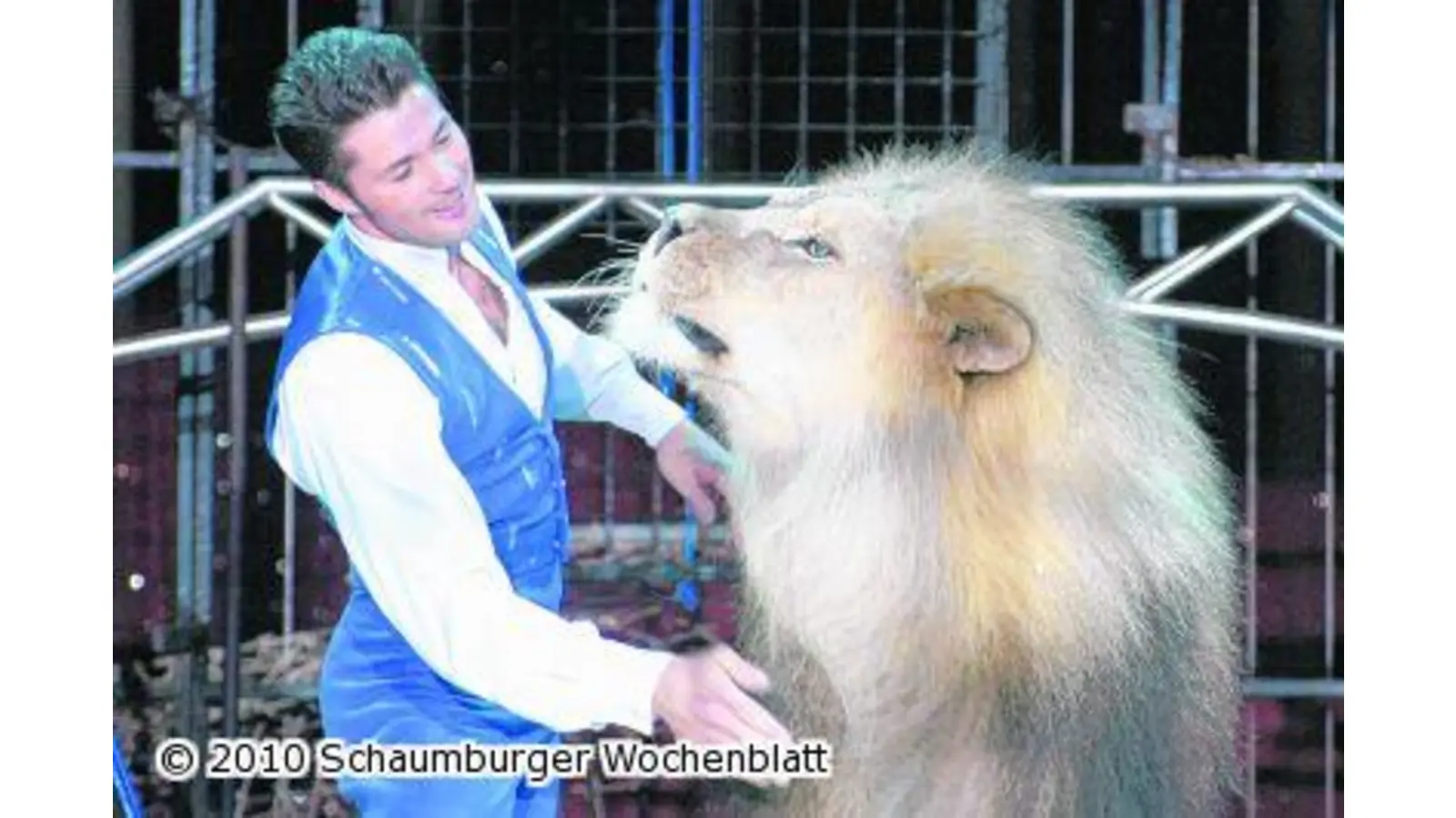 Ein Clown für den König der Löwen (Foto: em)