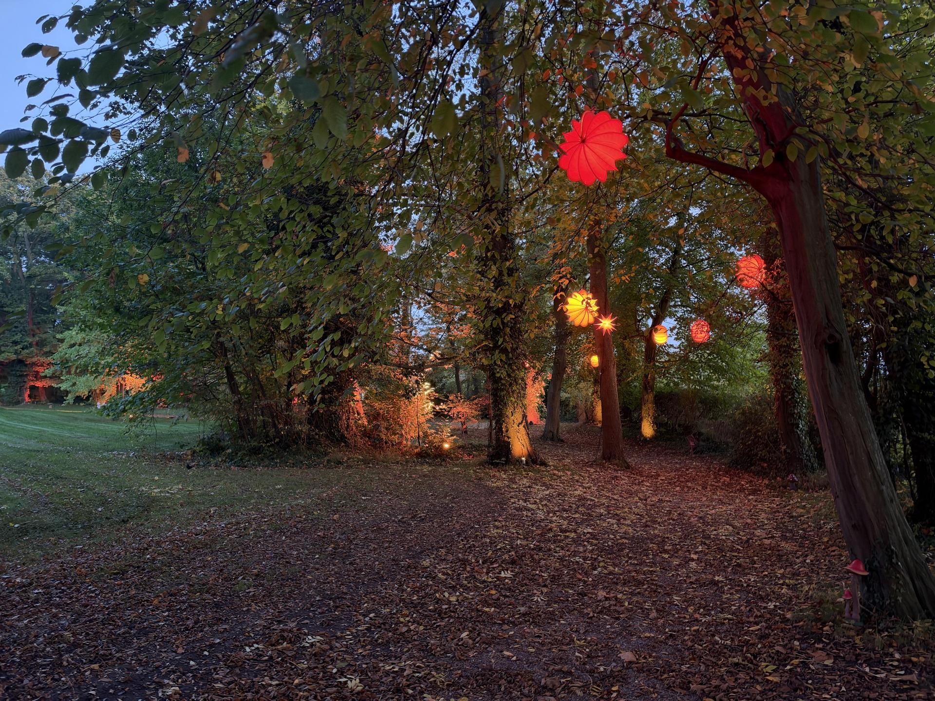 MärchenLichter (Foto: nd)