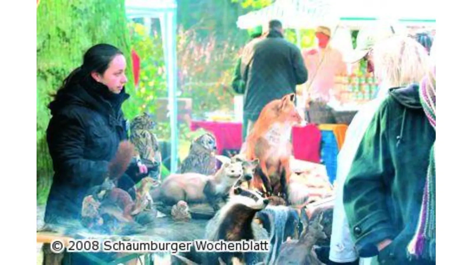 Mit dem Waldlern-Mobil in die Natur (Foto: red)