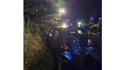 Renault Clio prallt gegen Baum – Fahrer unter Alkoholeinfluss. (Foto: privat)