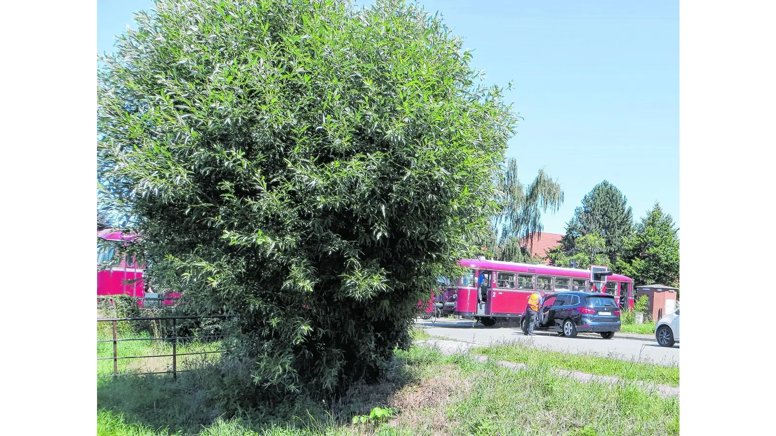 Schienenbus muss Notbremsung einlegen (Foto: bb)