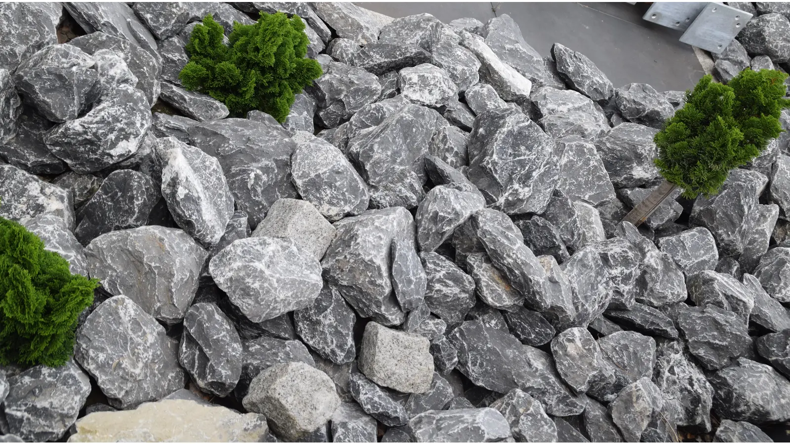 Eine willkürliche Auswahl der Orte des Grauens. (Foto: ab)