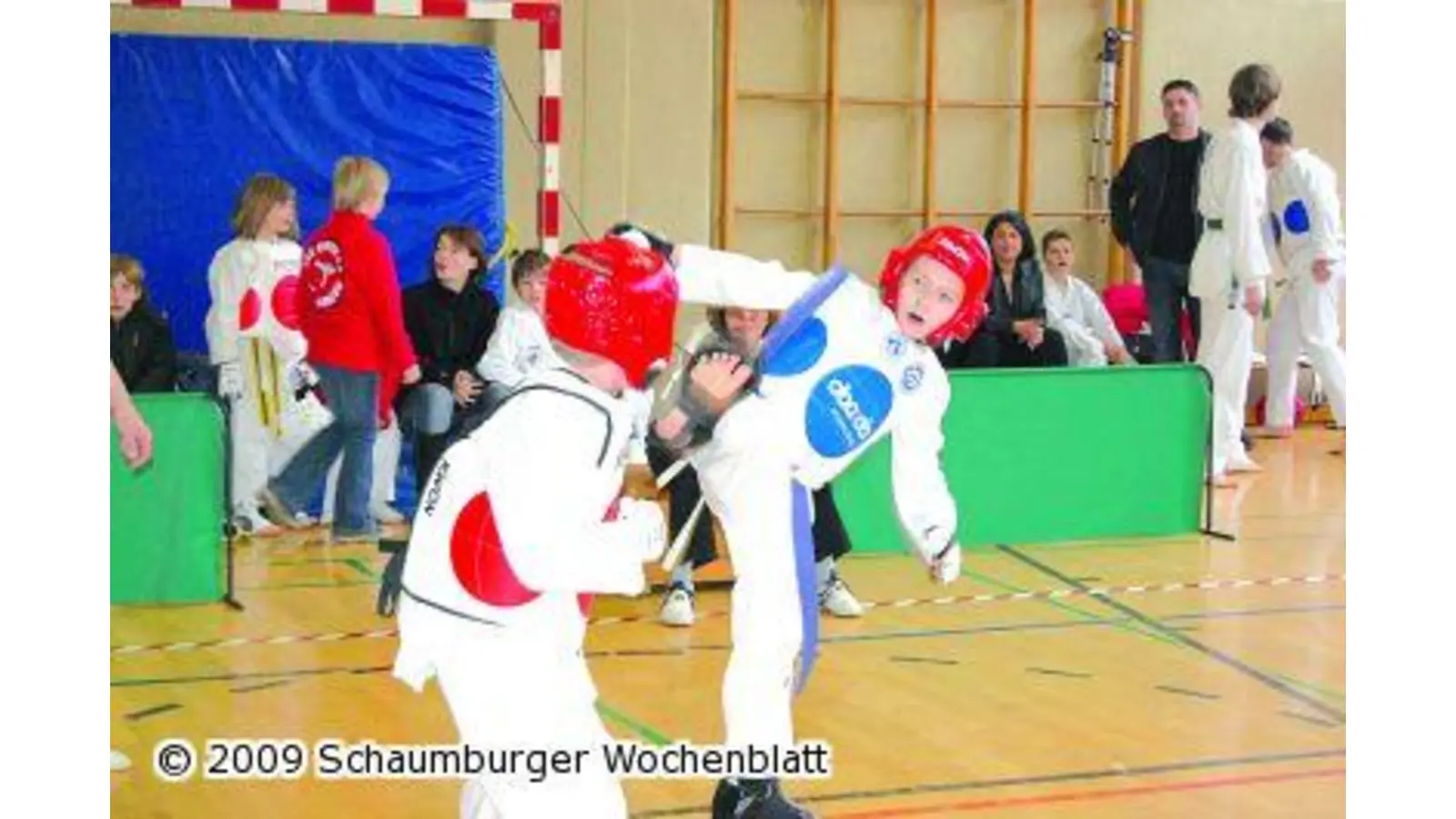 Motivationsturnier für Taekwondo-Nachwuchs (Foto: red)