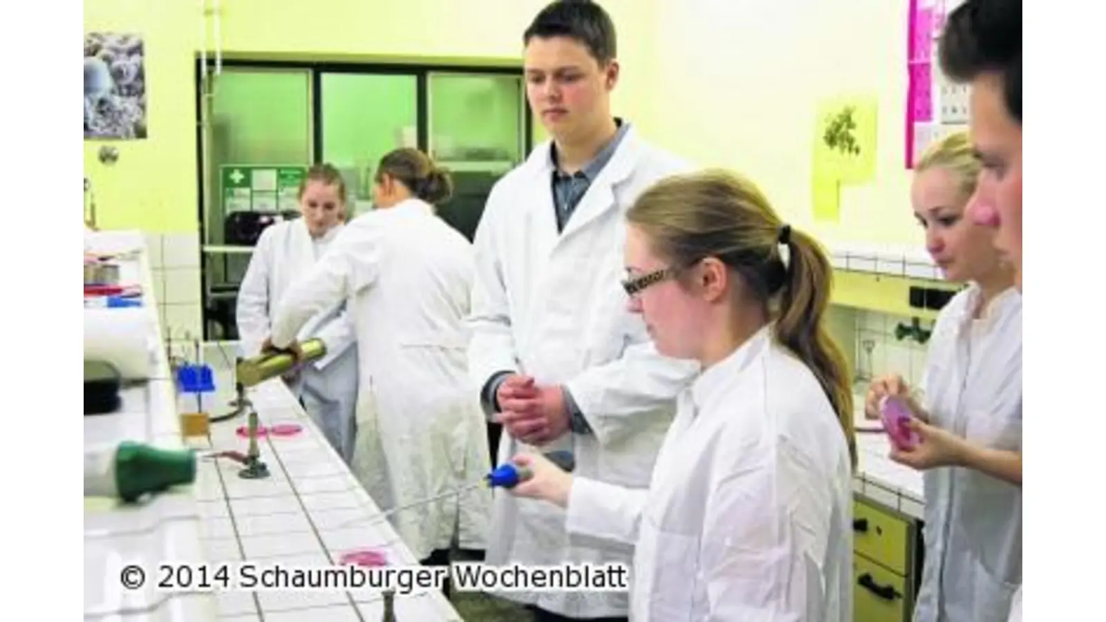 Schüler entdecken Berufsfelder (Foto: wa)