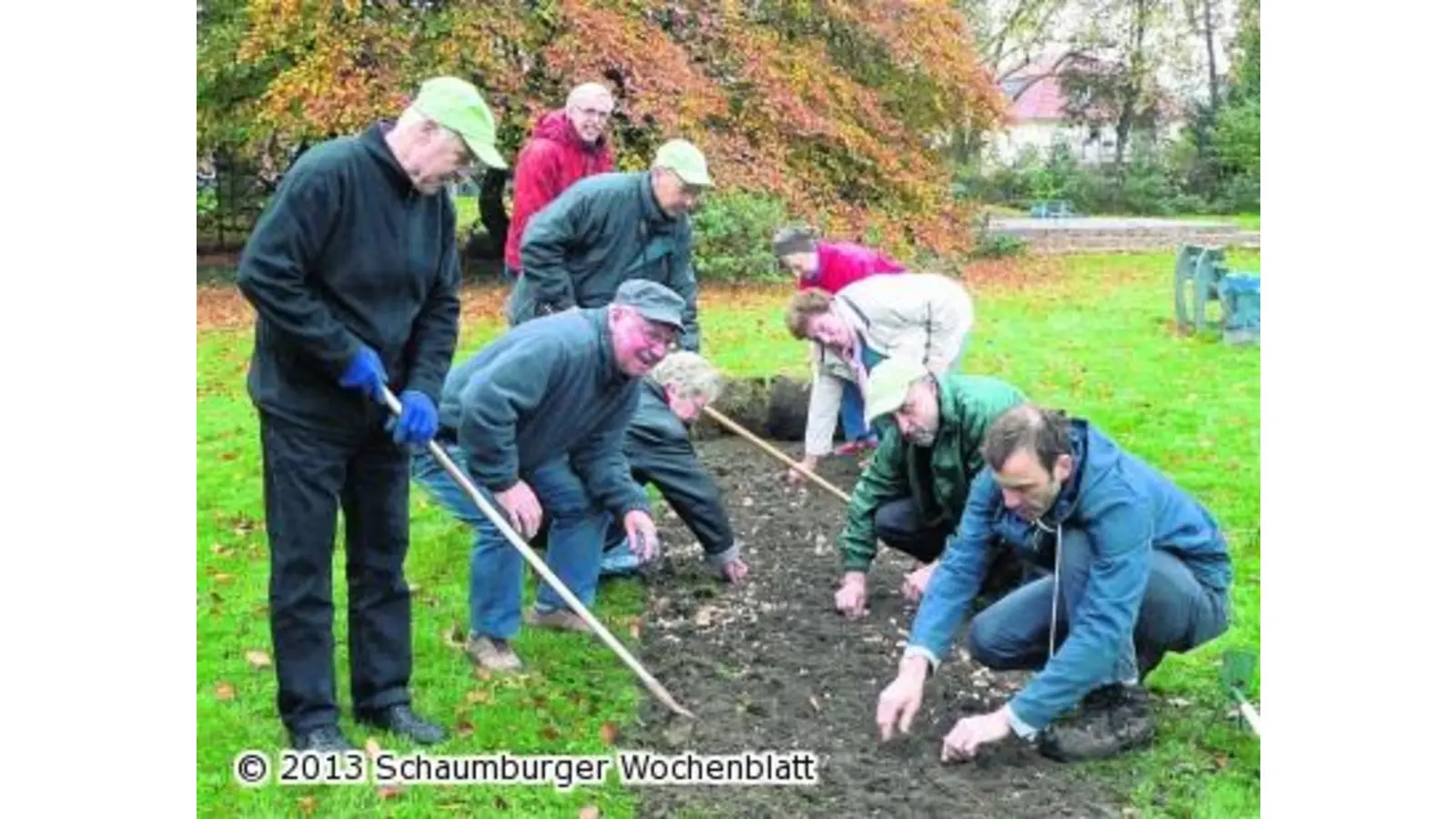 Im Frühjahr blüht der Volkspark auf (Foto: red)