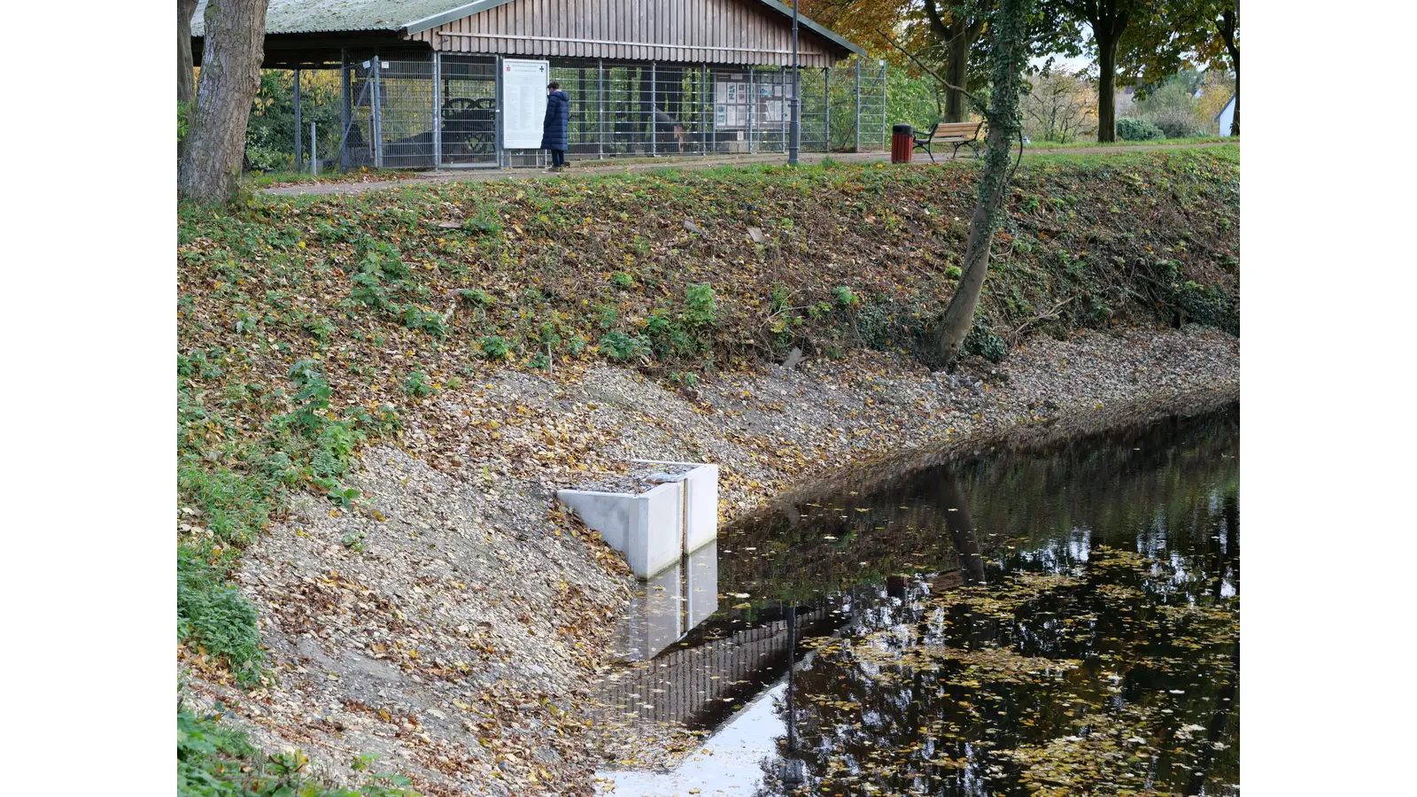 Neuer Mönch im Schlossteich von Rodenberg (Foto: wk)