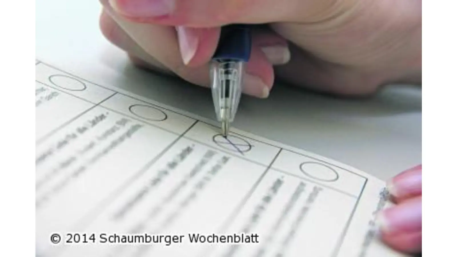 Die Bürger Europas gehen wählen (Foto: red)