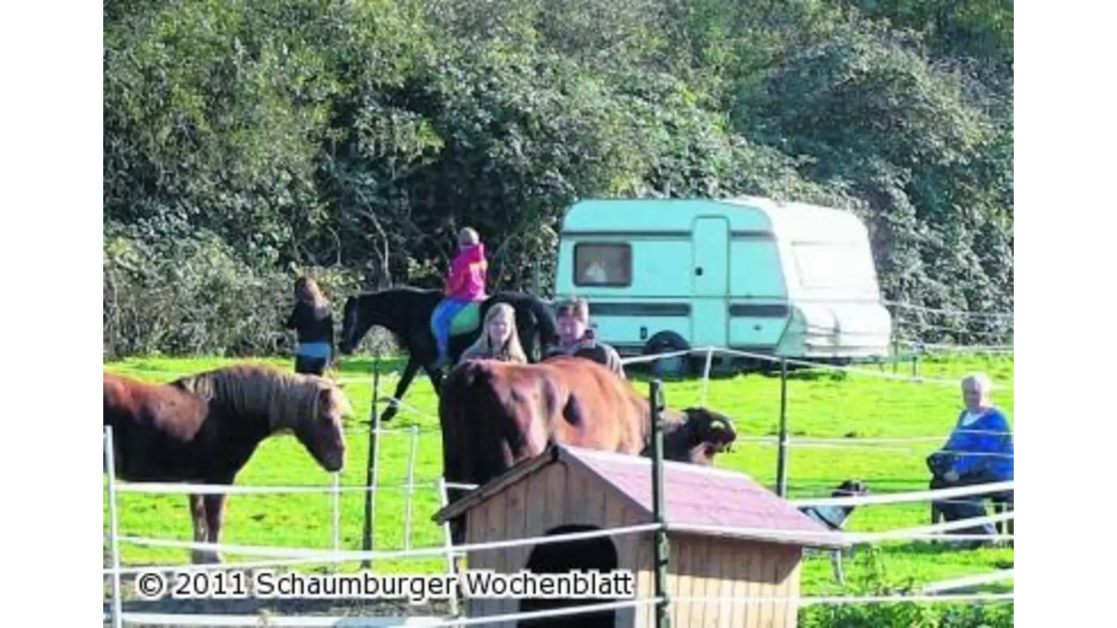 Hoffest auf dem Gnadenhof lockt zahlreiche Besucher an (Foto: red)
