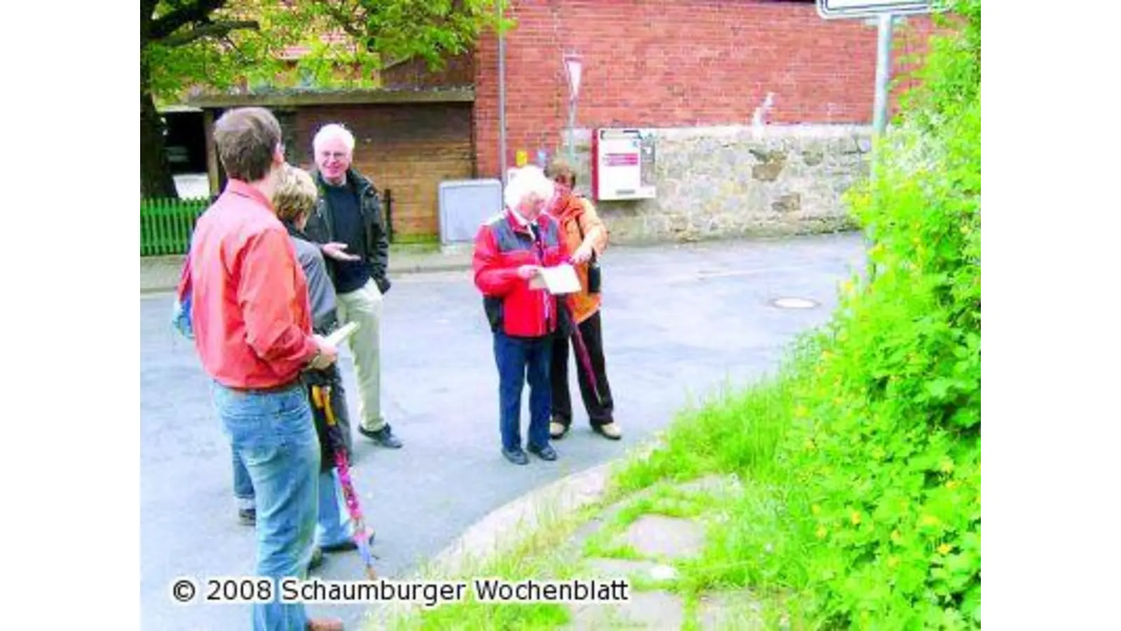 Blühende Schönheiten (Foto: ste)