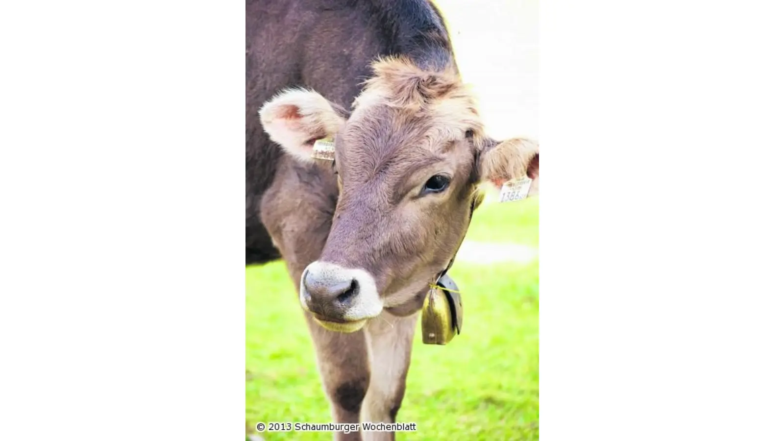 Diese Sache mit der Wertschätzung (Foto: red)