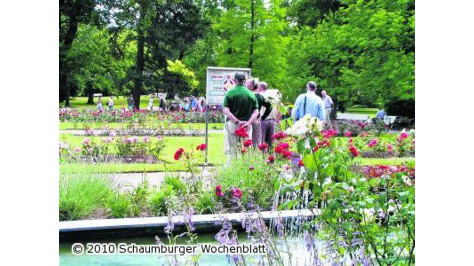Großes Kurparkfest zur Rosenblüte (Foto: red)
