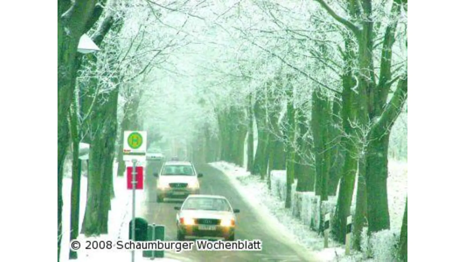 Wintermärchen von kurzer Dauer (Foto: km)