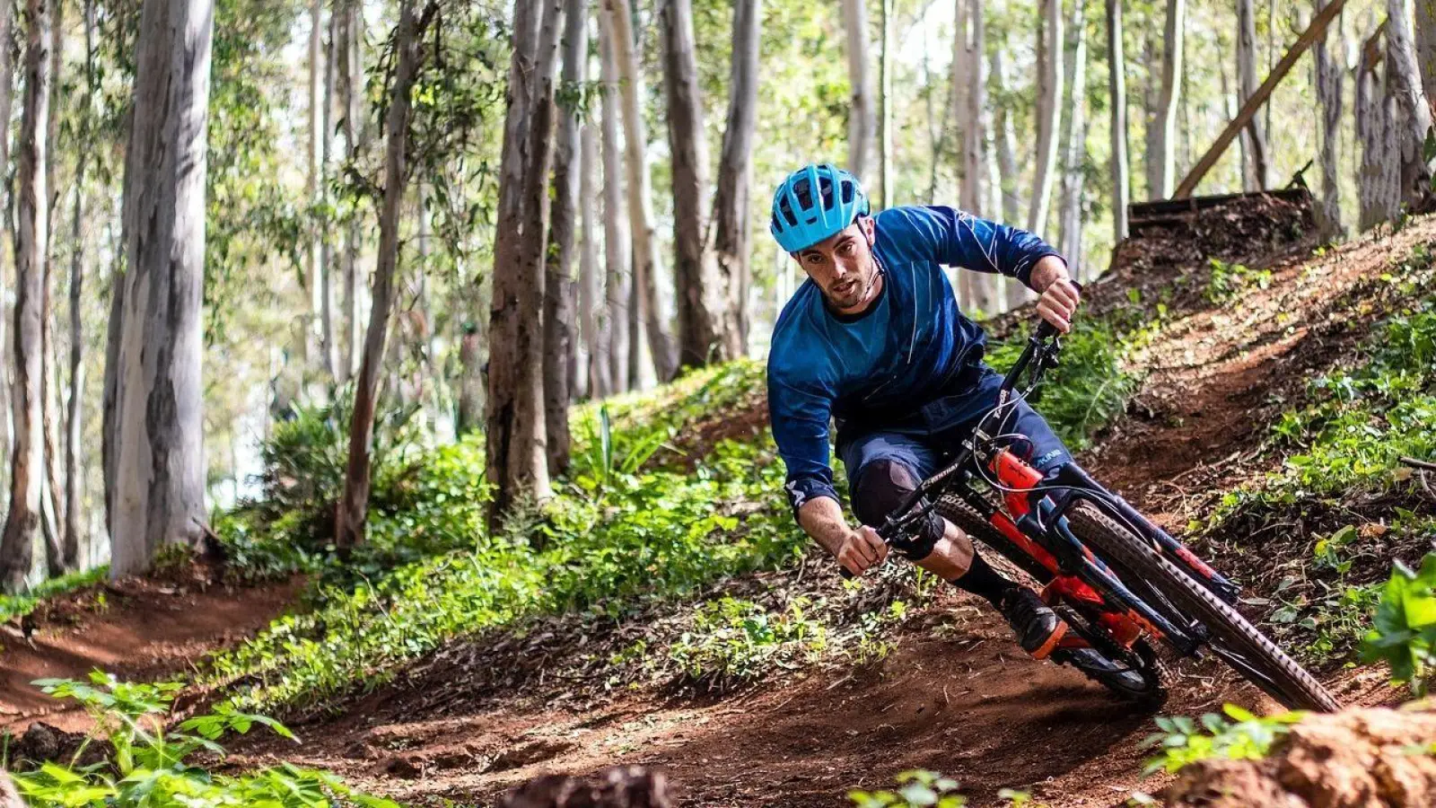 Genehmigte MTB-Trails sollen möglicherweise im Deister zurückgebaut werden. (Foto: privat)