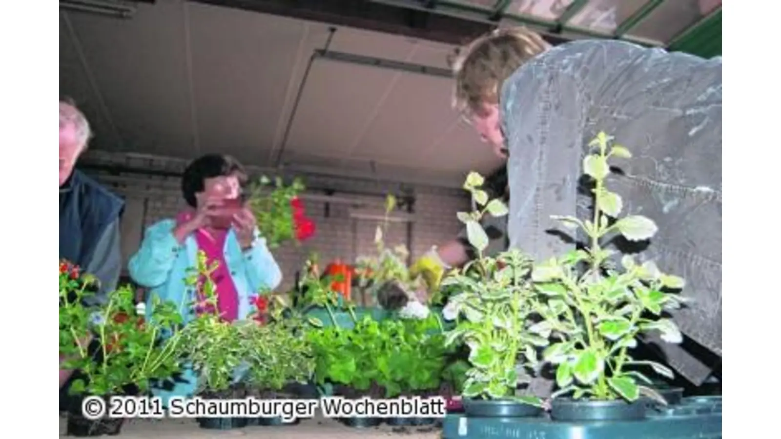 Grüne Daumen bepflanzen Blumenkübel für die Stadt (Foto: wa)