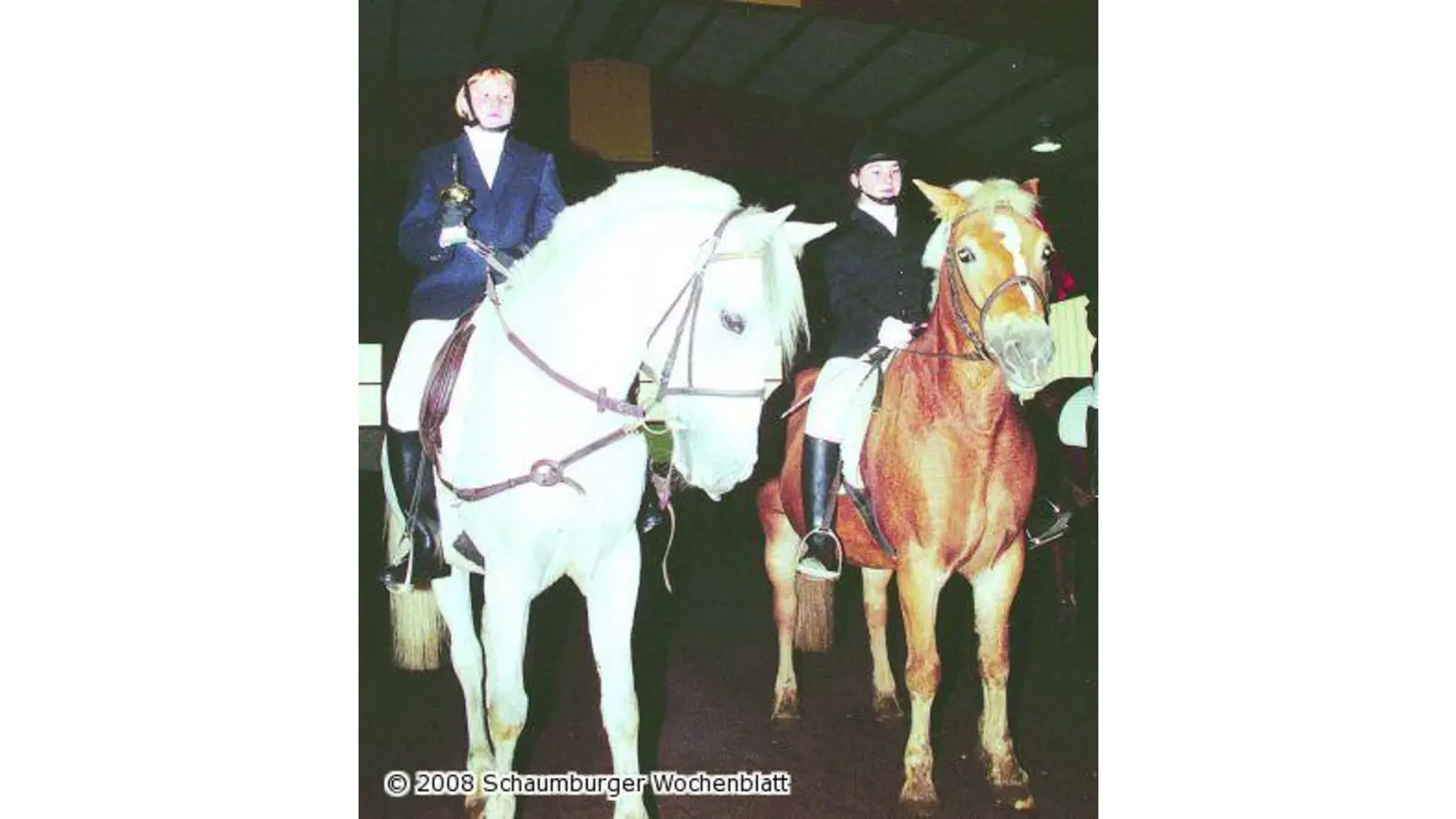 Einmal auf dem hohen Ross sitzen Unterricht mit Reitpferden für Anfänger (Foto: km)