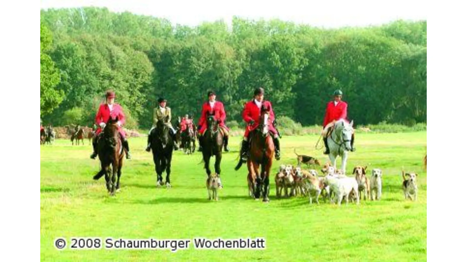 Hinter der Lipperlandmeute über Felder und Wiesen (Foto: hb)