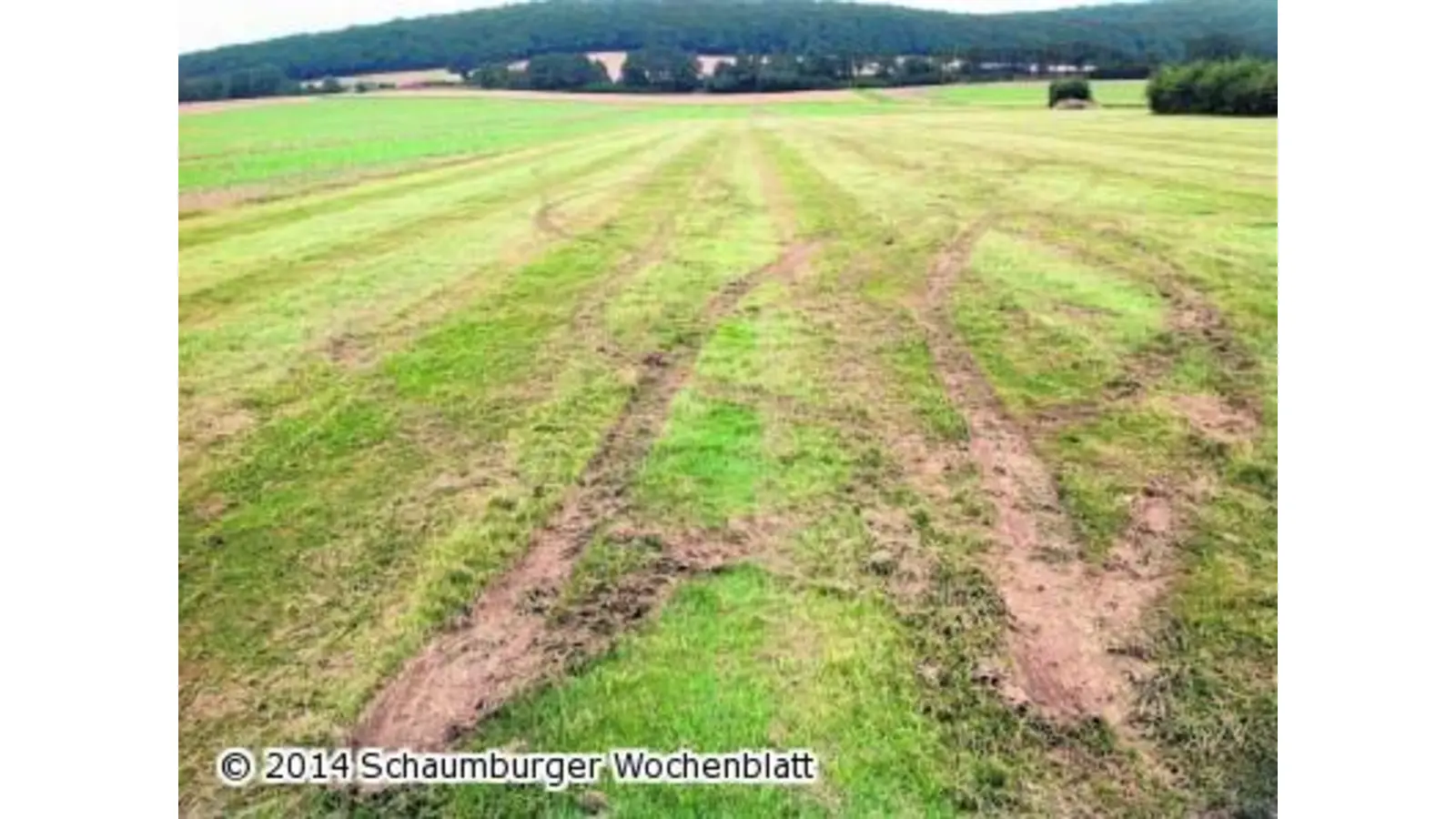 Landebahn verwüstet (Foto: em)