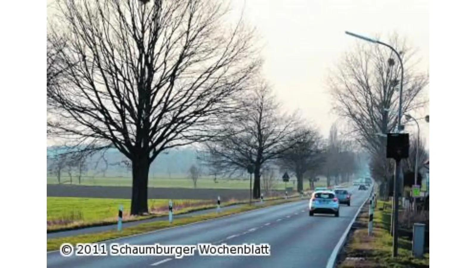 Rat zeigt sich mit der geplanten Neuregelung äußerst unzufrieden (Foto: bt)
