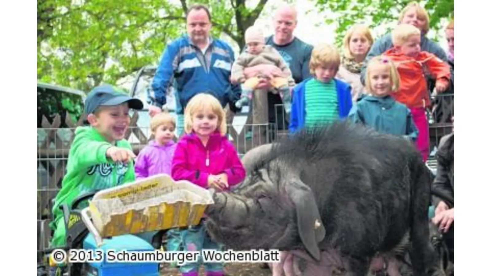 Bauernhofkindergarten sucht interessierte Eltern (Foto: red)