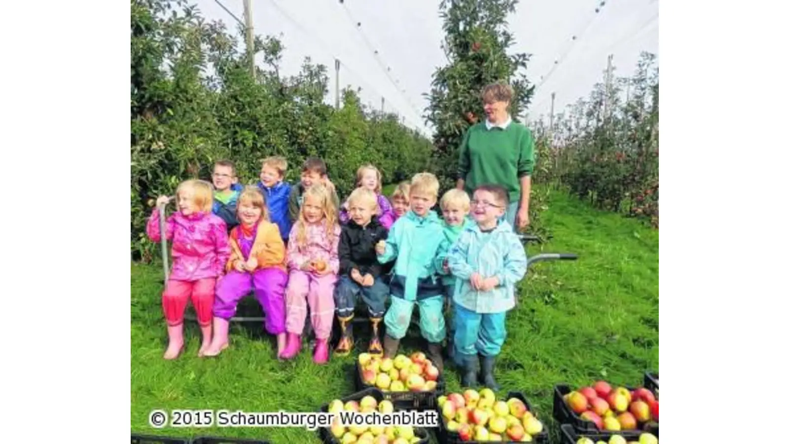 Frisch von der Plantage auf den Herbstmarkt (Foto: bt)