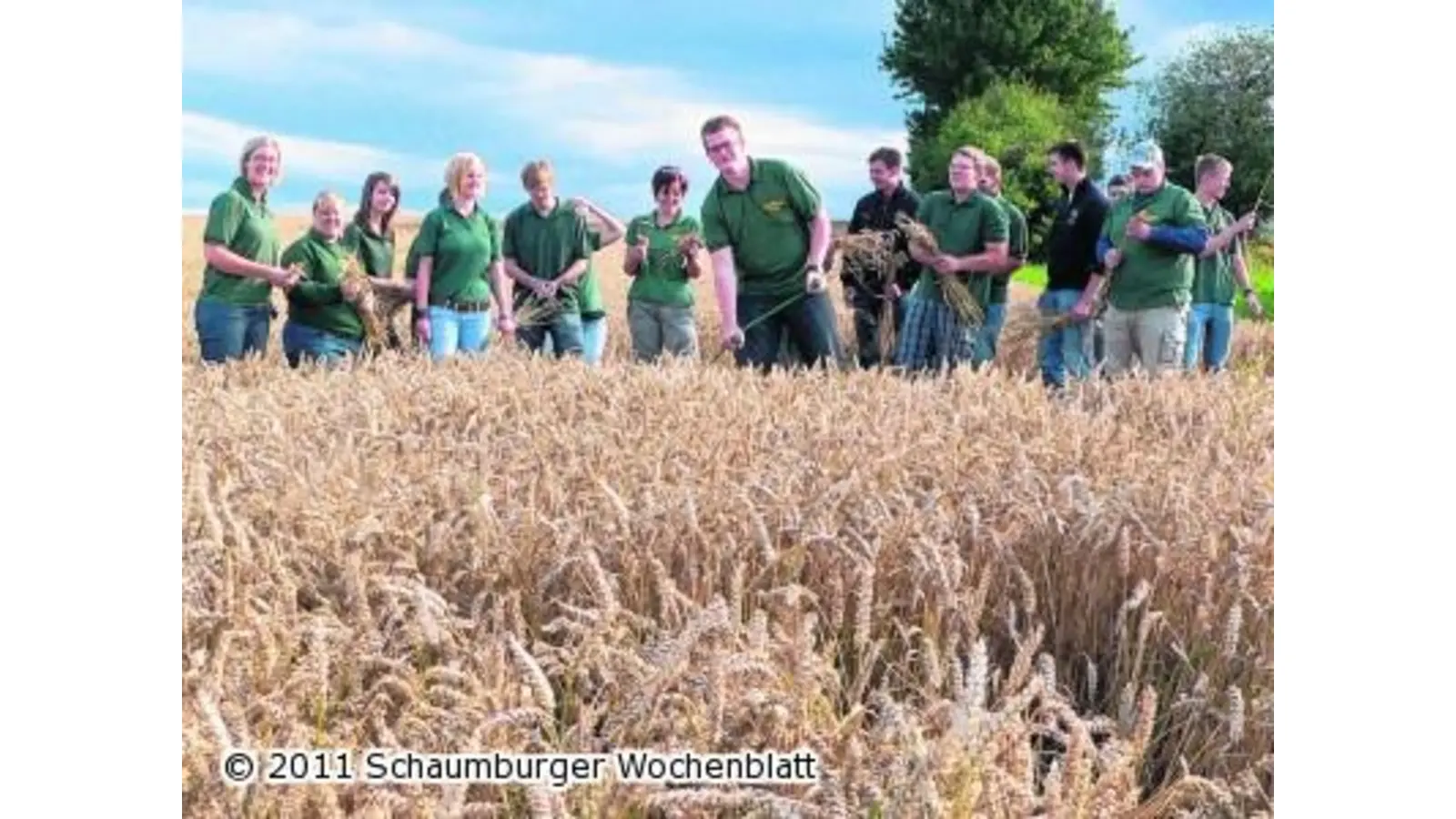 Landjugend erntet Weizen mit der Hand (Foto: al)