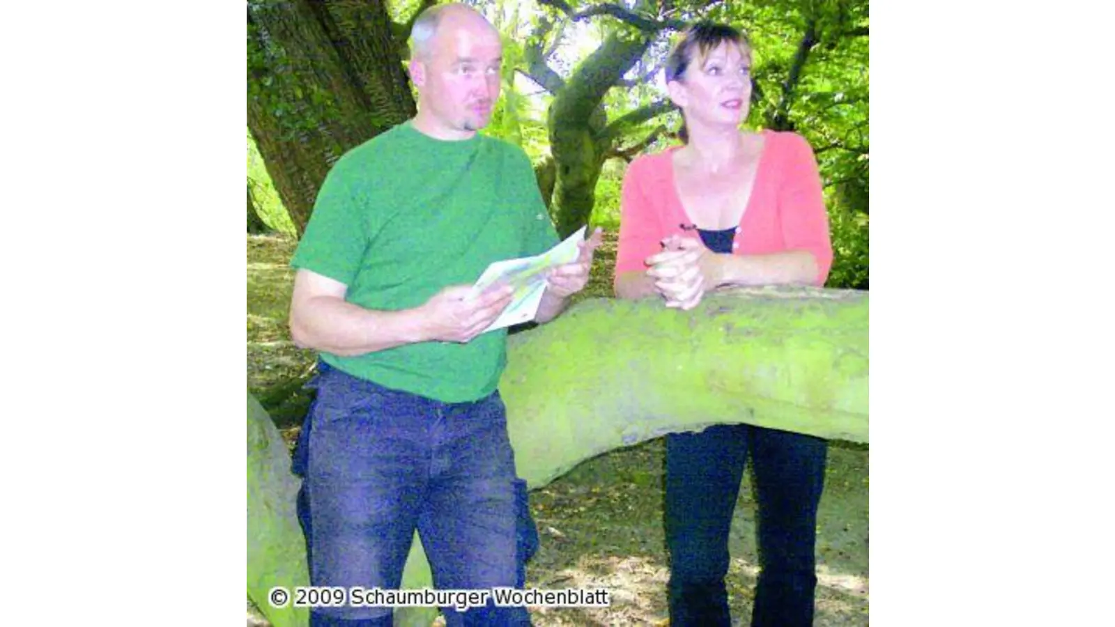 NDR Nordtour wandert von den Süntelbuchen zur Mooshütte (Foto: red)