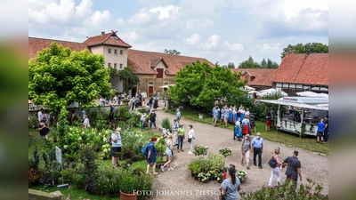 Für das kommende Wochenende lädt die Familie von Schöning zum Parkfestival Romantic Garden auf da Rittergut Remeringhausen (Foto: Pietsch)