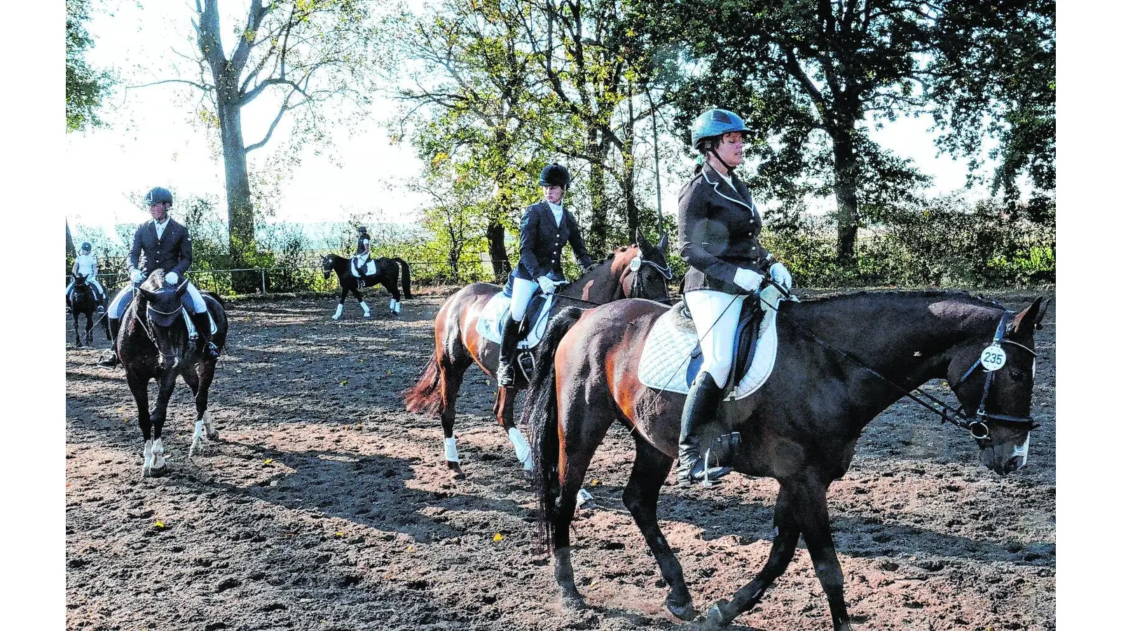 Das Reitturnier verzeichnet fast 800 Starts (Foto: bt)