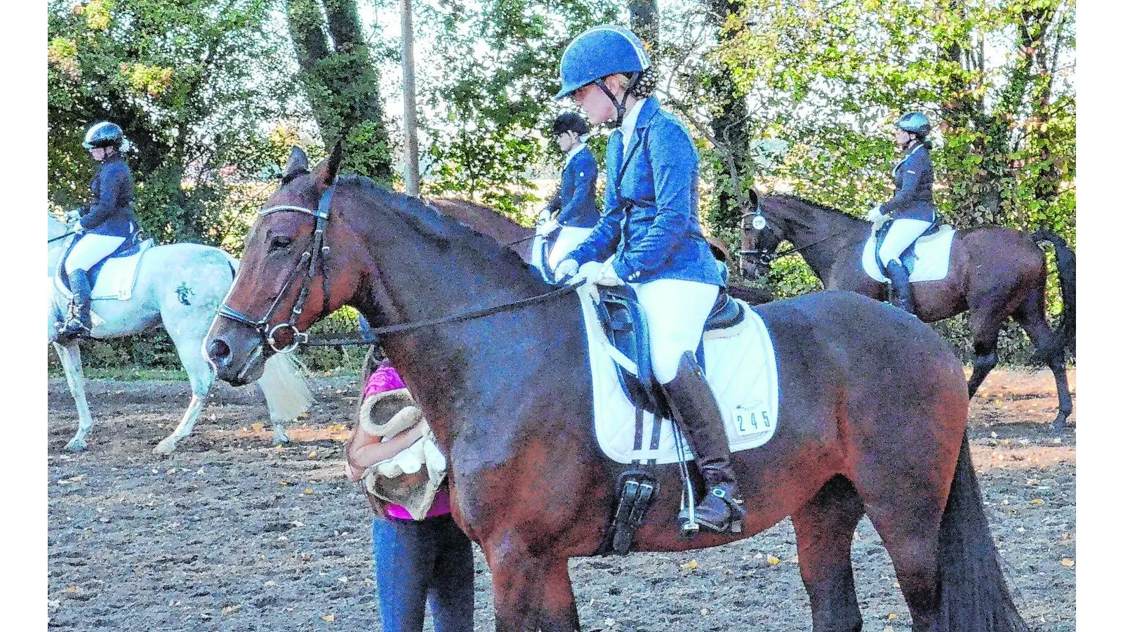 Lindhorst wieder Treff der deutschen Pferdesportler (Foto: bt)