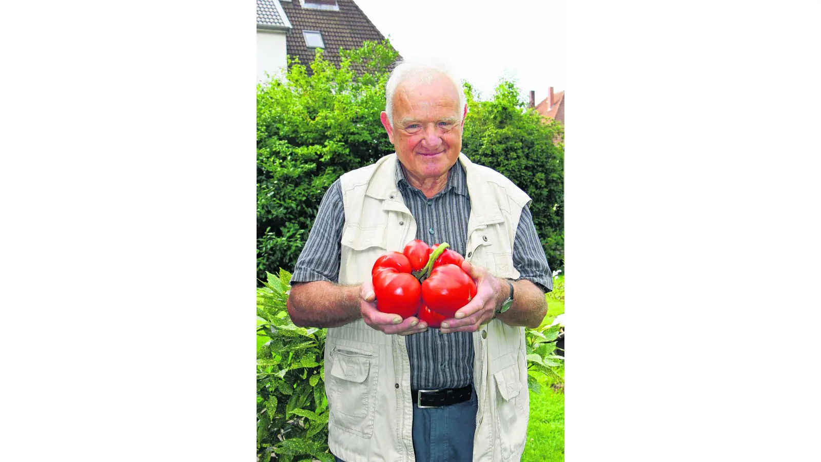 Wenn ein ganzer Beutel Reis in eine einzige Tomate passt (Foto: jl)