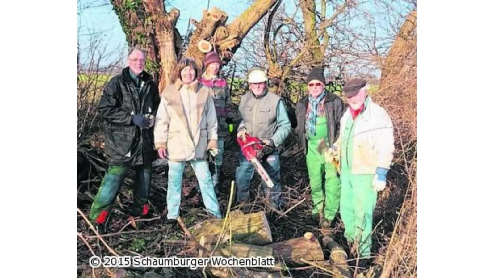 NABU Lindhorst schneitelt Weiden (Foto: bt)