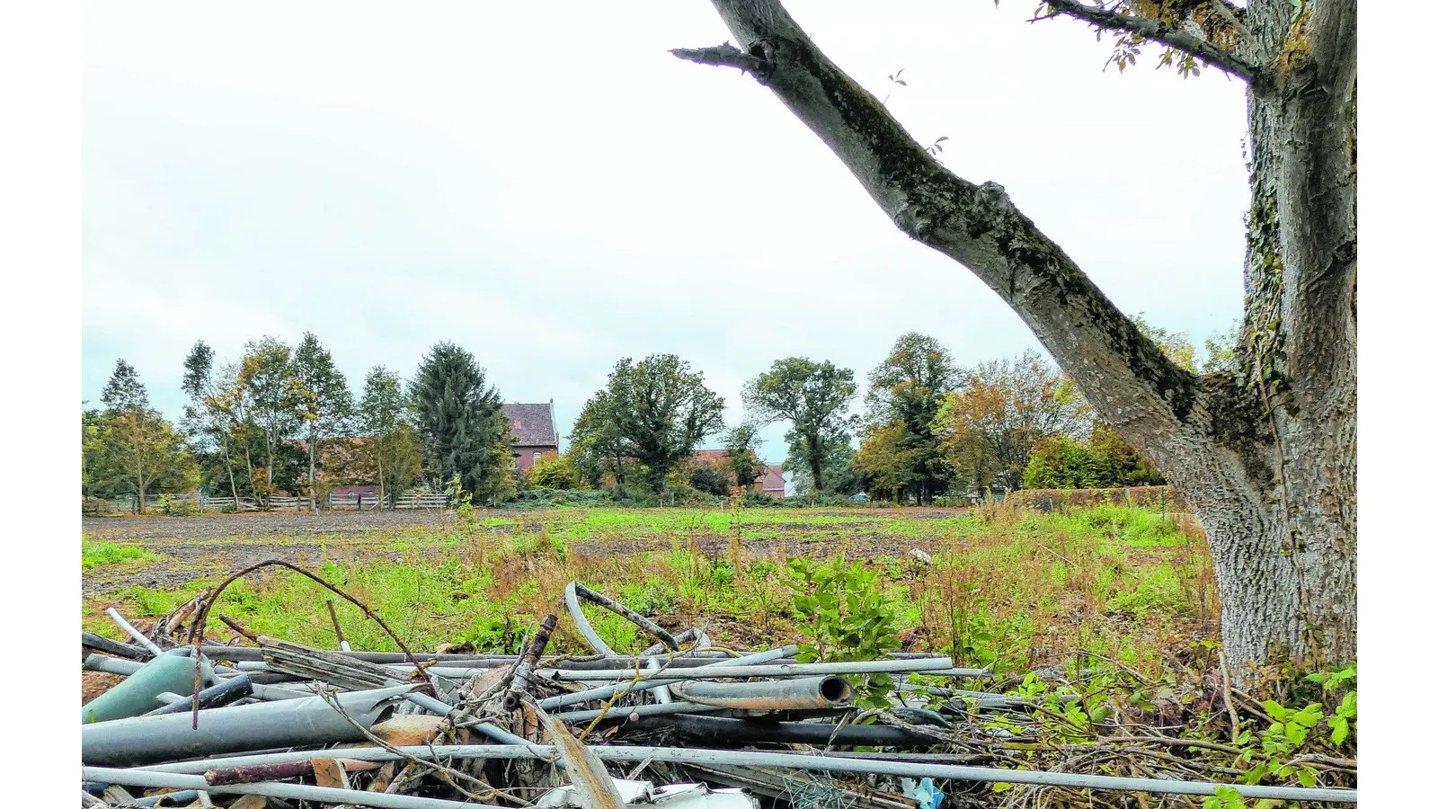 Auf der Steinbult können Häuser entstehen (Foto: red)