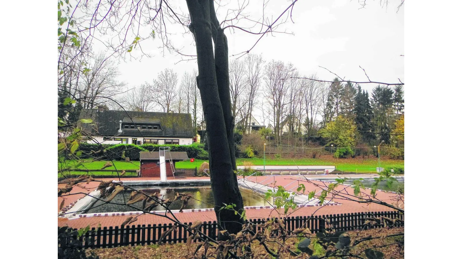 Baubetriebshof entfernt Bäume (Foto: mk)