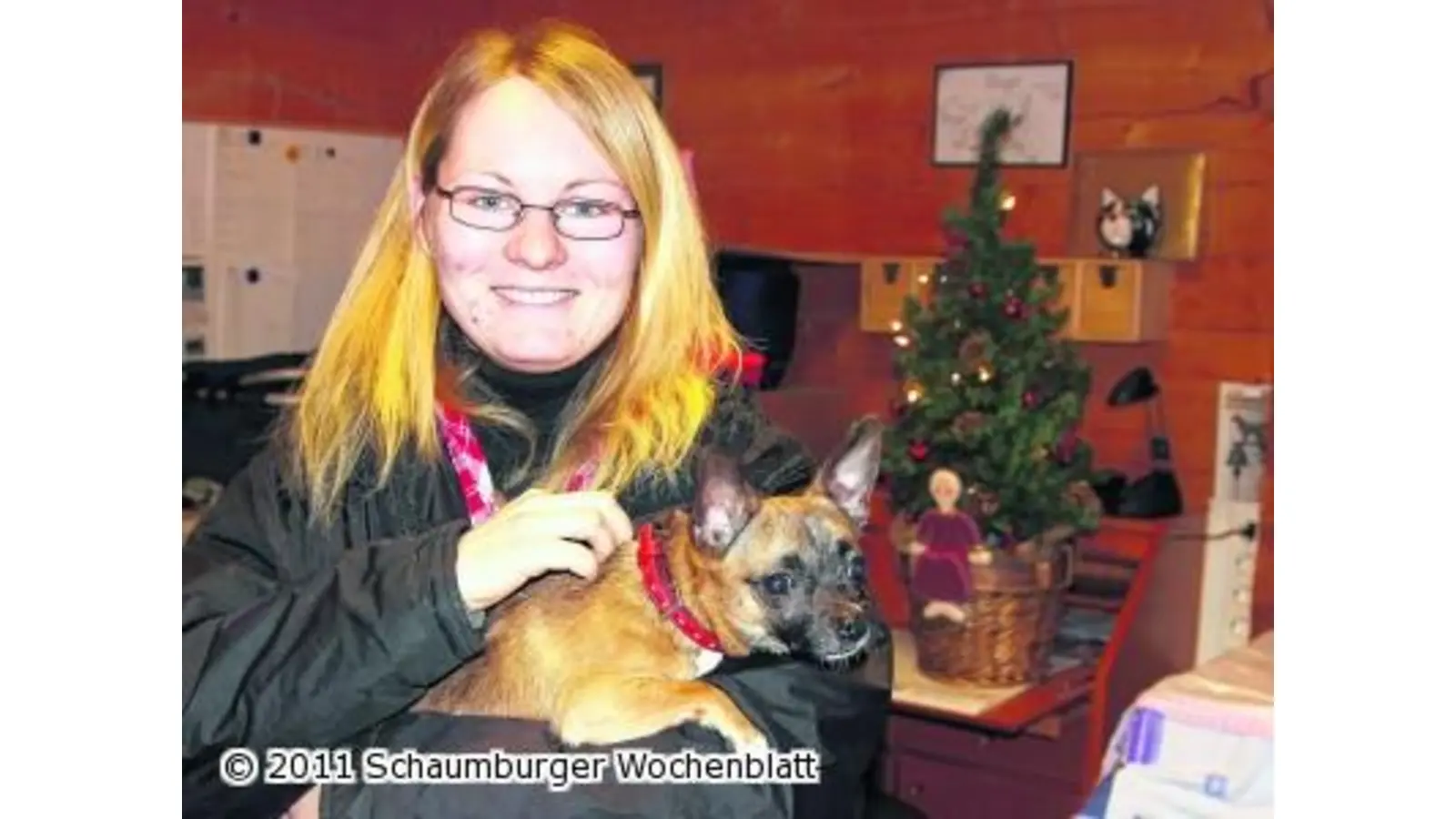 Flitzi sucht einen Freund (Foto: jl)