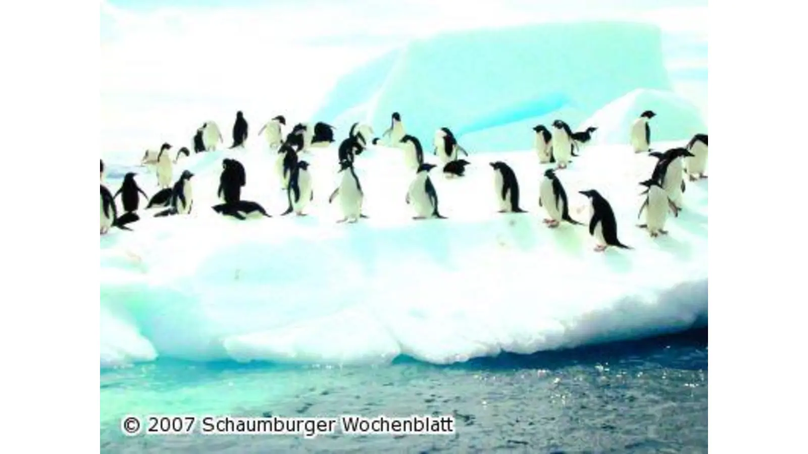 Mit Expeditionsschiff zur Antarktis (Foto: red)