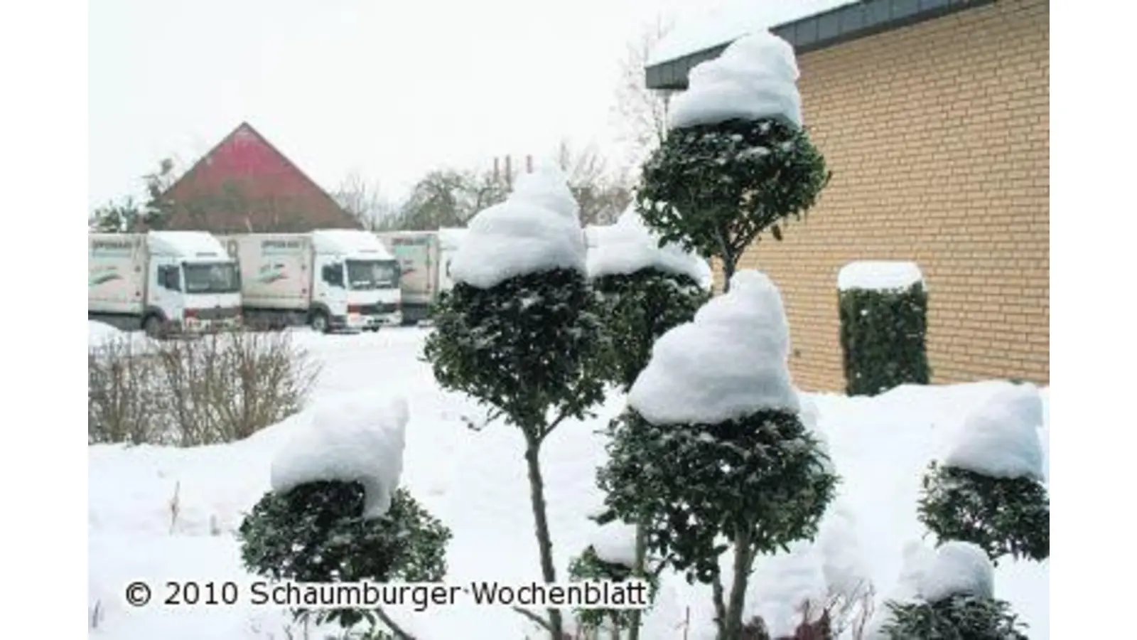 Dicke weiße Mützen (Foto: red)