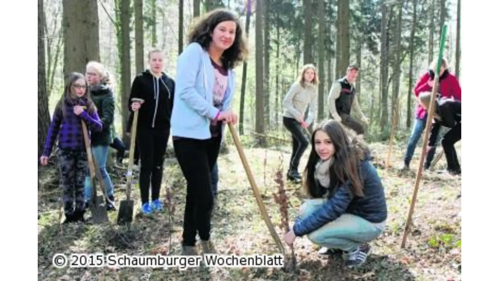 Gymnasiasten pflanzen junge Bäume (Foto: bb)