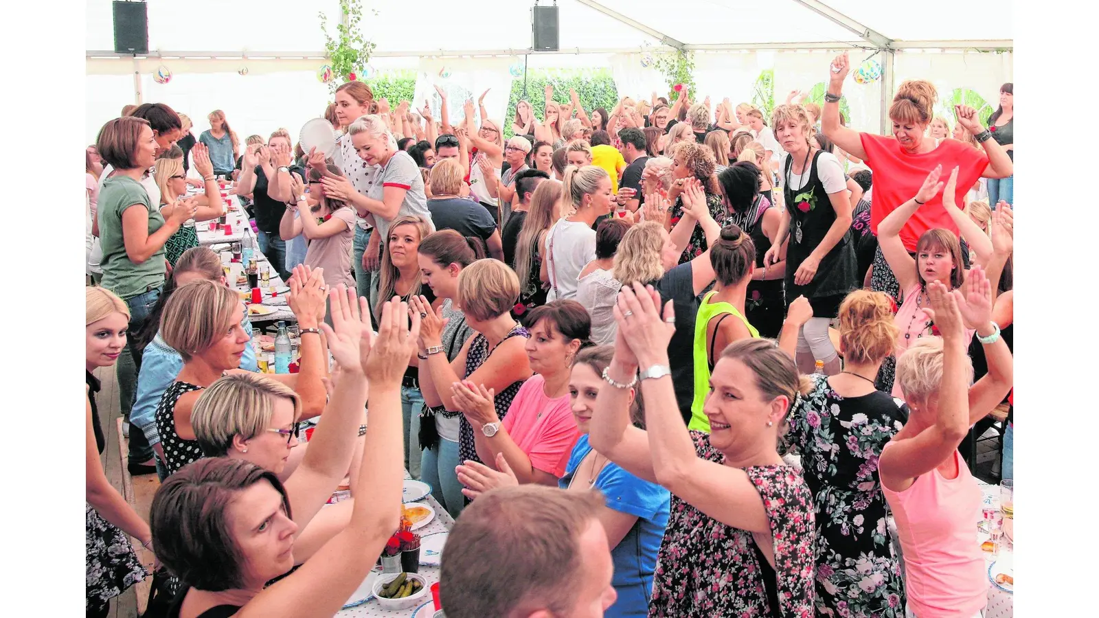 Drei Tage Partyfieber in Pollhagen (Foto: bb)