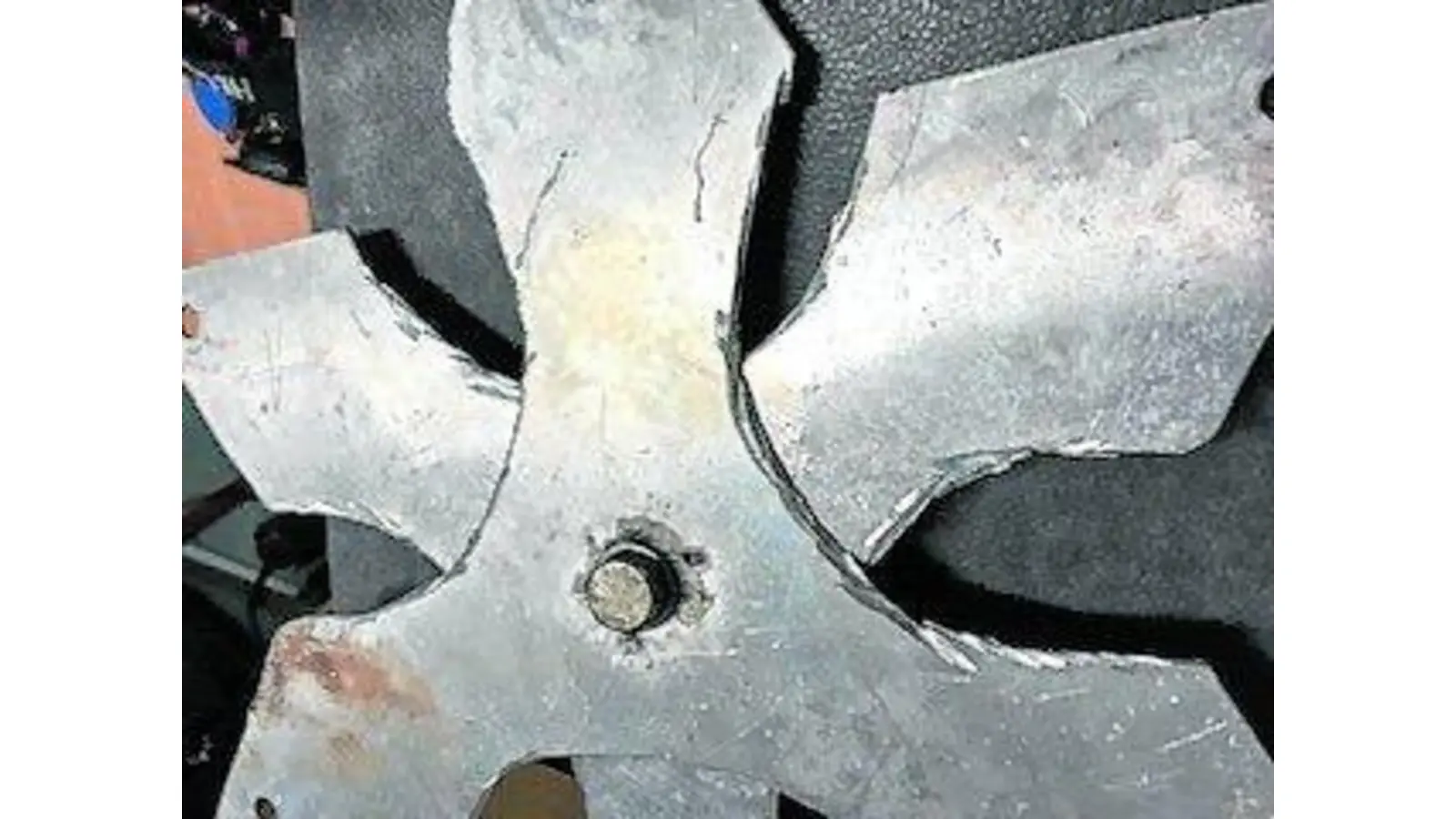 Den Shuriken (Wurfstern) stellten die Beamten sicher. (Foto: jb)