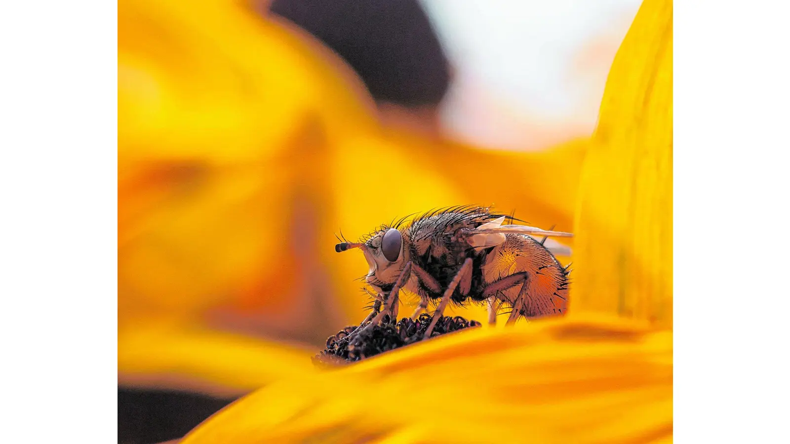 Kreative Vielfalt in der Wandelhalle (Foto: red)